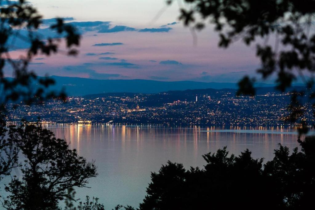 Le Garden - - Vue - Piscine - Parking - Evian - Thonon - *