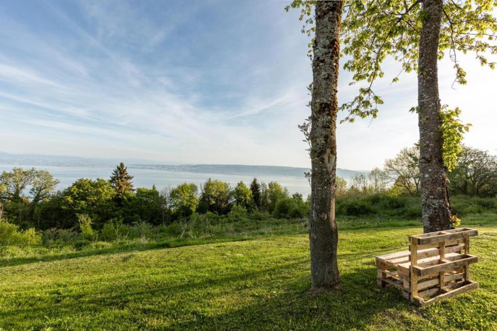 Le Garden - - Vue - Piscine - Parking - Evian - Thonon - Appartement